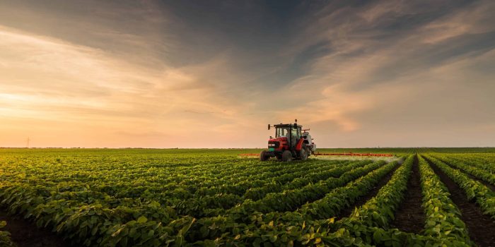 Disoccupazione agricola 2025: sei un lavoratore nel settore agricolo?